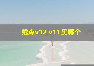 戴森v12 v11买哪个